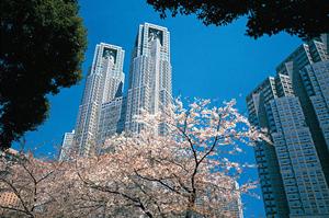 事故物件買取の最新対策2025年版:トラブルを防ぎ高値で売却する完全ガイド