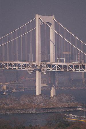 ネット割引でお得な岩手の一戸建て